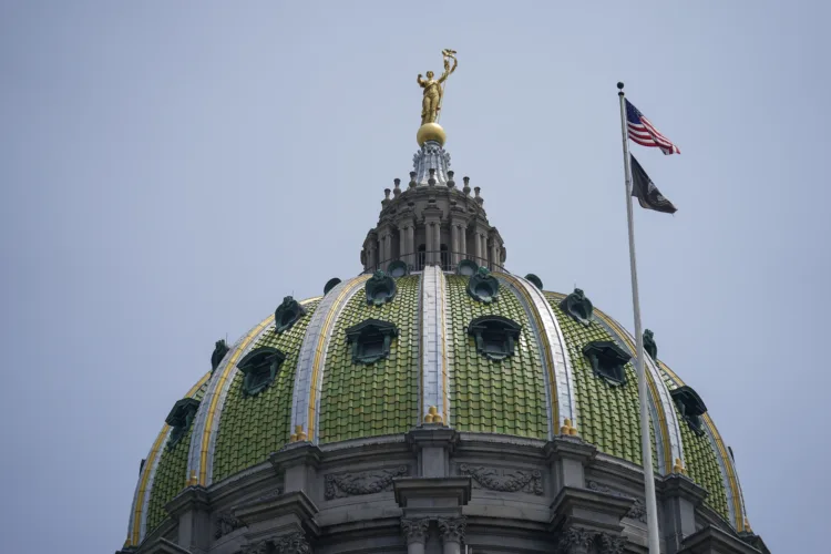 Bill would create registry of animal abuse offenders